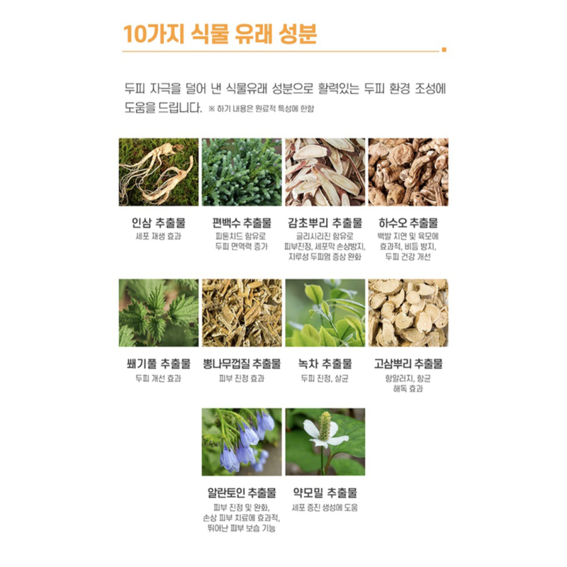 [dr. Graft] scalp tonic 100ml - nourish your scalp with our scalp tonic - image 5