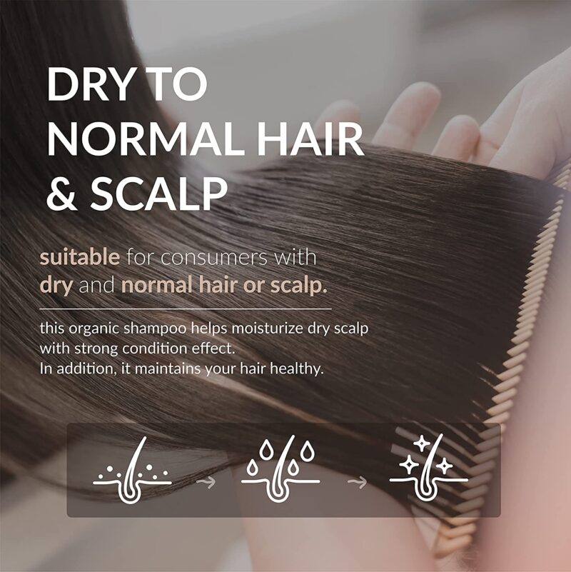 [bbp] rosemary essential shampoo 500ml - nourish and strengthen your hair with our rosemary essential shampoo - image 6
