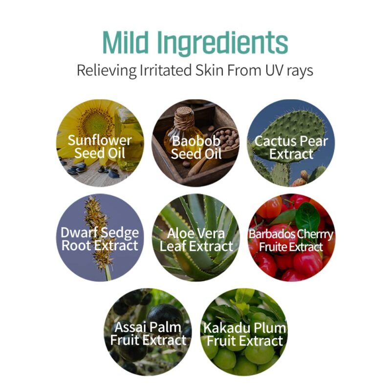 [etude house] sunprise mild airy finish sun milk spf50+ pa+++ 55ml - protect your skin from the sun and achieve a mattified look with our sun milk - image 11