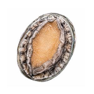 Abalone (Frozen)
