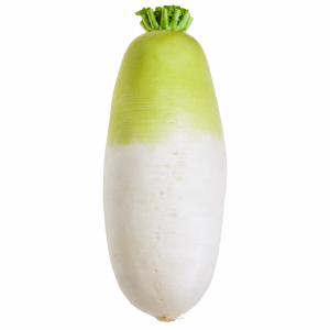 Premium Korean Radish from Jeju