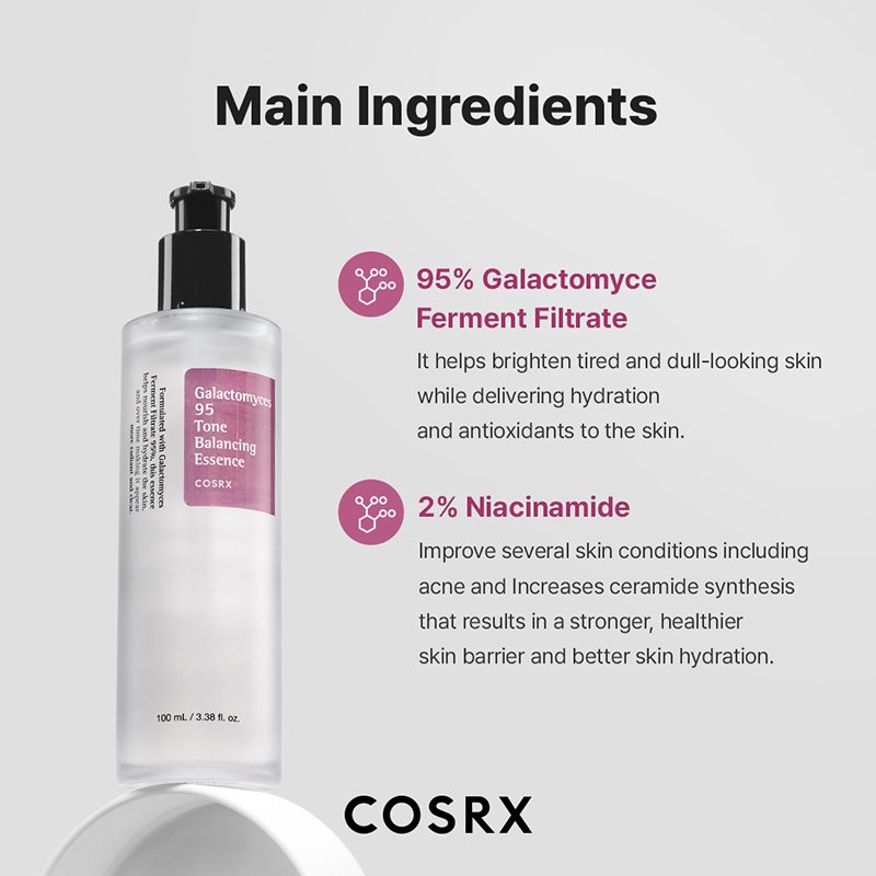 Main ingredients breakdown featuring 95% Galactomyces Ferment Filtrate and 2% Niacinamide