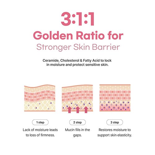 Diagram showing 3:1:1 golden ratio of Ceramide, Cholesterol, and Fatty Acid for skin barrier care