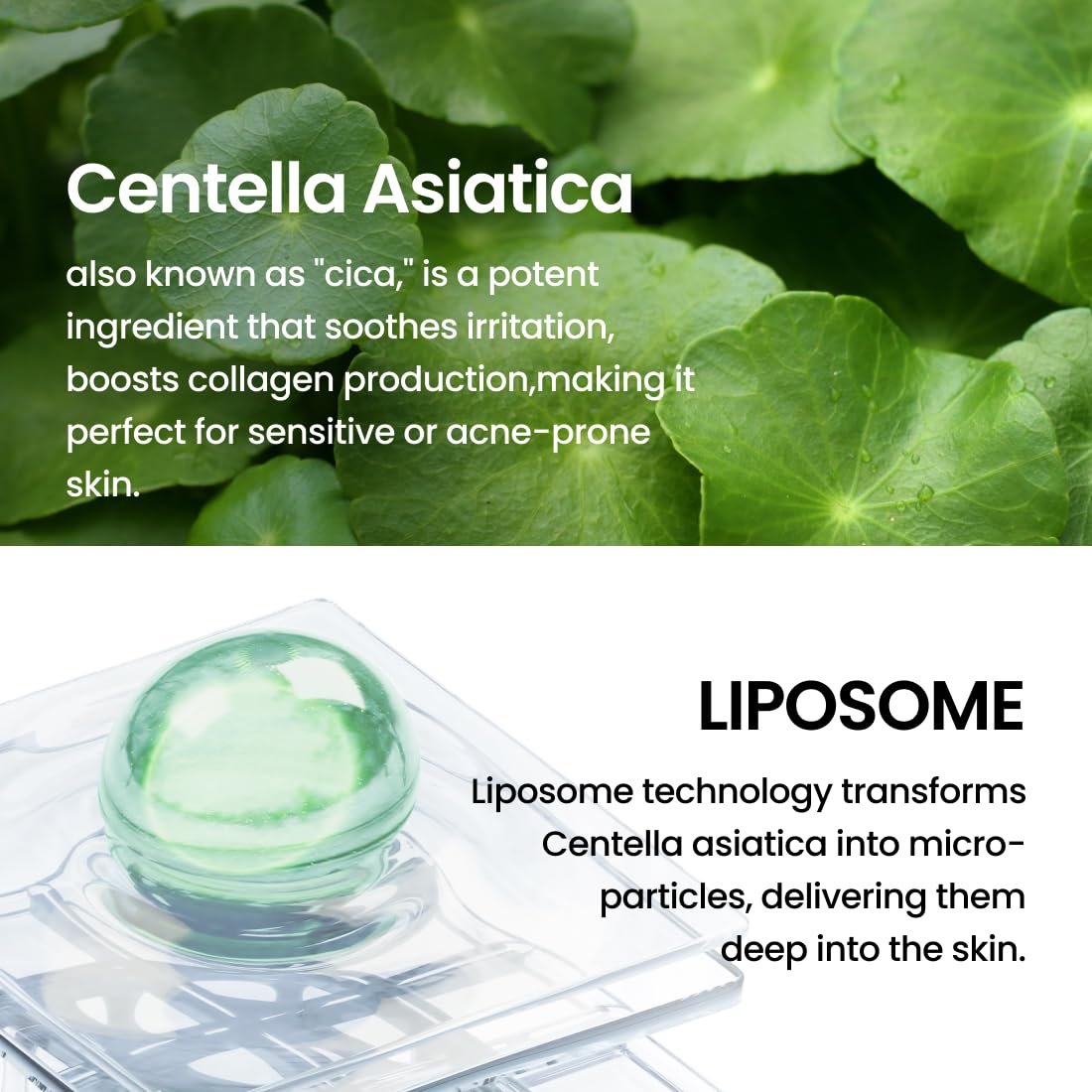 Delphyr graphic explaining Centella Asiatica and liposome micro-particle technology